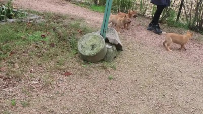 熱烈な歓迎っぷりにホッコリ