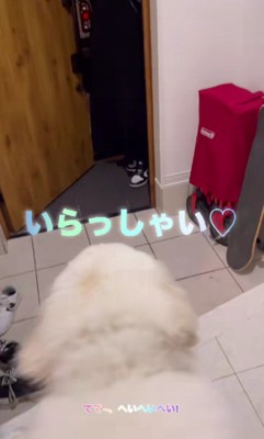 妹が遊びに来て…