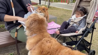 まずは公園で味見