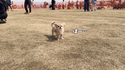 ぼーっとして休憩中