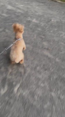 微笑ましい光景にホッコリ♡