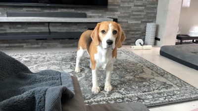 出勤前のママさんとメイちゃん