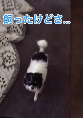 ちーちゃんとの出会い7
