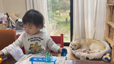 見なかったことにして寝たフリ