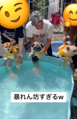 暴れ始めるダイフクくん