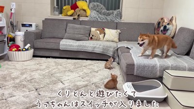 うにくんが飛び入り参加!?
