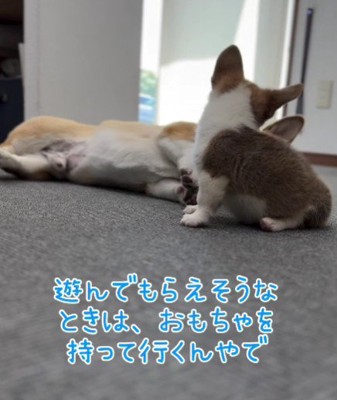 心得はたくさんある