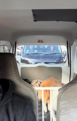 座席を踏み台にして…