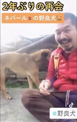 座る人に近づく犬