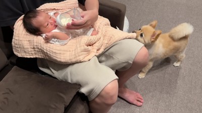 パパのミルクも観察