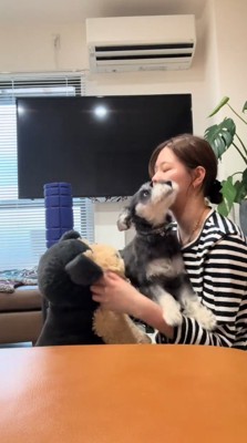 女性の膝の上に乗って暴れる犬