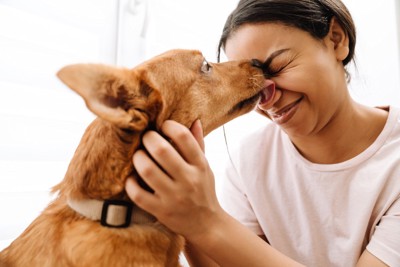 女性の鼻をなめる犬