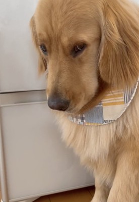 がんばろ！病院！！