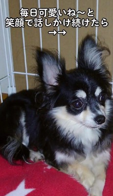 心を開いてくれなかった…