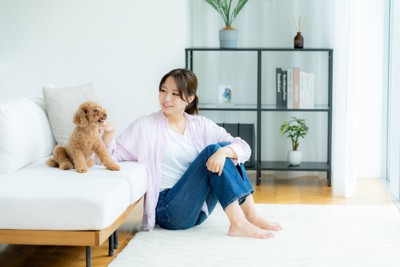 寄り添う犬と飼い主