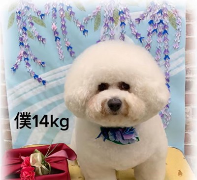 モンくんの成長3