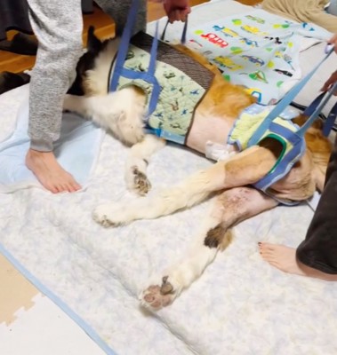 ベルトの持ち手を持つ