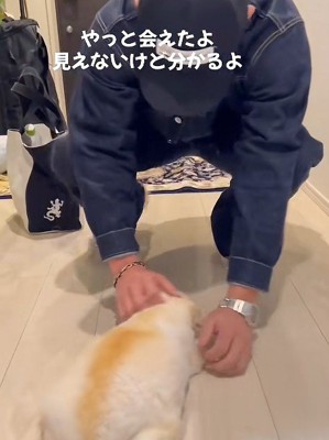 手のぬくもりに思わずペタリ