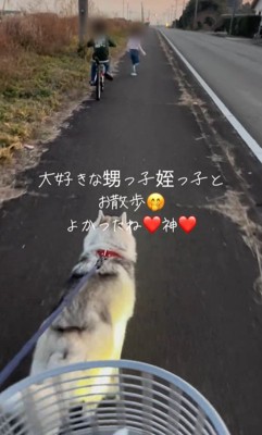 甥っ子と姪っ子とお散歩する神ちゃん