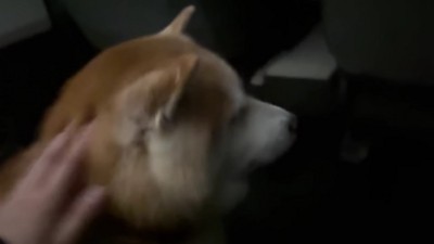 サプライズは大成功！！