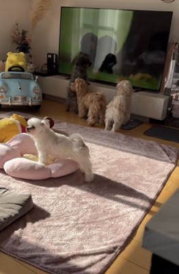 先輩たちと一緒にテレビ