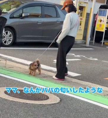 なんとなく匂う…！？