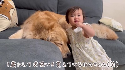 甘えるように寄り添う