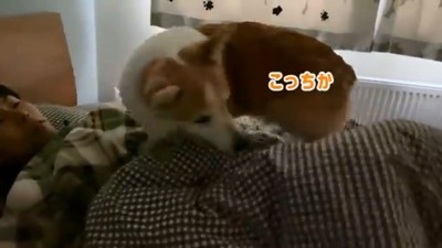 アクロバティックなノエさん