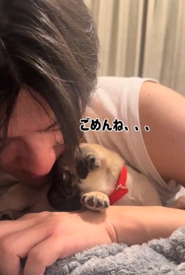 謝るうめちゃん