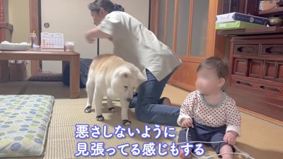 「見張ってる感じもする」