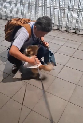 CoCoちゃんとパパさんの再会8