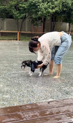 初めてプールに入ったそらまめ君2