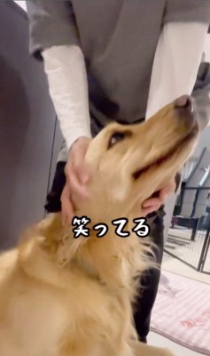 おばちゃんに会えて大興奮のリサちゃん9