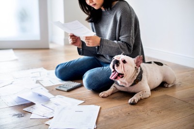 請求書を見る女性と犬