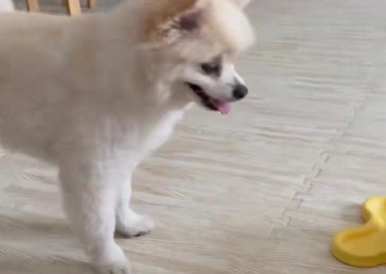 「なんで出ないんだろう…」