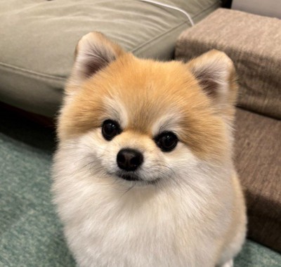 全然顔が違う！！