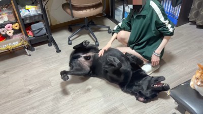 甘えん坊全開に♪