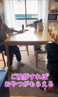 リンちゃんとおばあちゃんの日常5