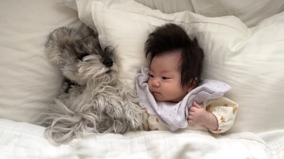 添い寝中のトトちゃん