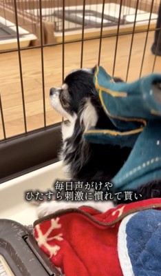 少しずつ、少しずつ