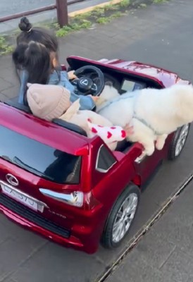 幸せな家族のひととき