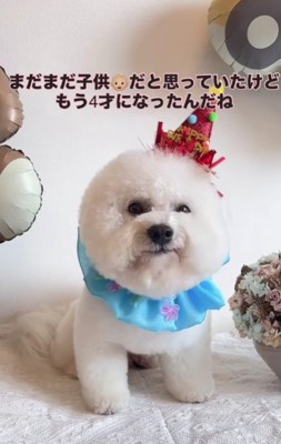 ちょっぴり大人っぽい顔に