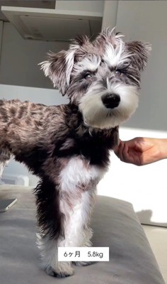 ボセくんの成長記録4