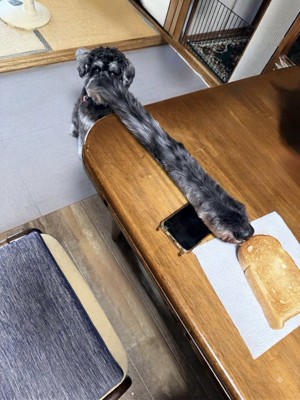 鼻