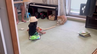 私もやりたい…