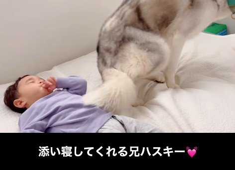 男の子に添い寝する星凪くん5