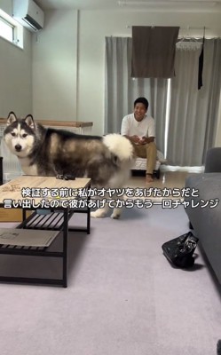 再検証するふたり