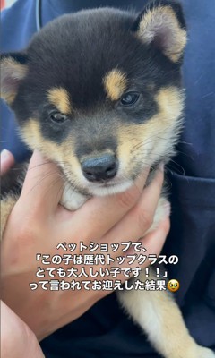 ラムくんの変化