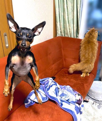 ものすごい形相…!!