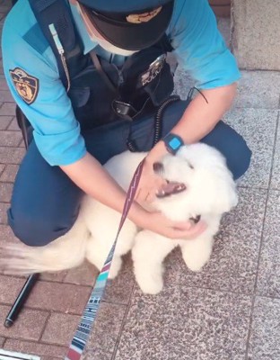 自分から近づいて…